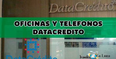 Qué es el Datacrédito y Cifin en Colombia 7 Lineas de Atención de Datacrédito