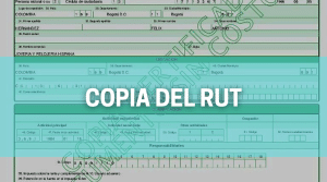 Copia del rut